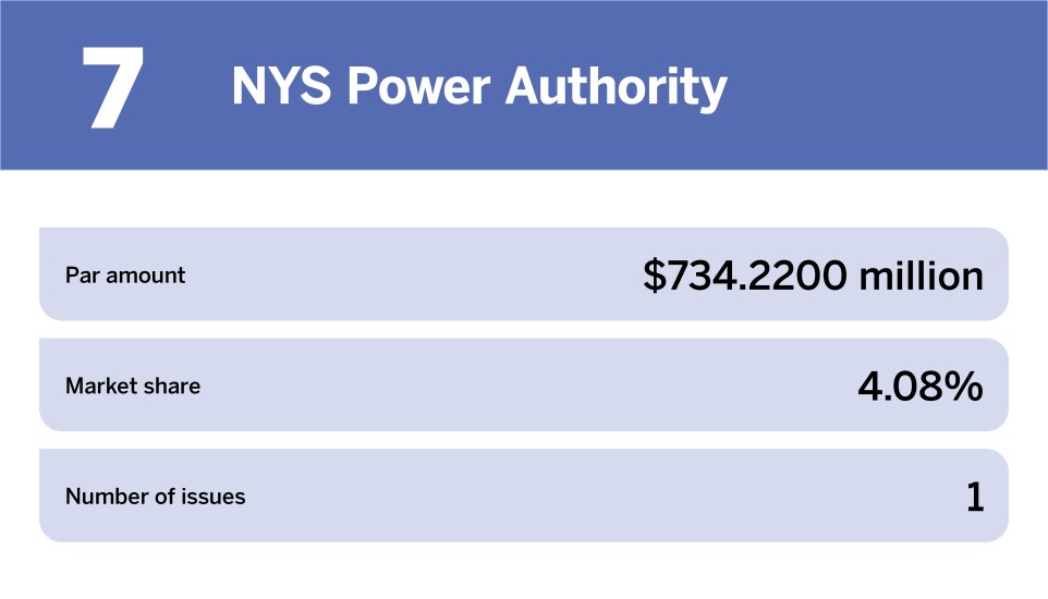 Electric power The 10 largest issuers of the year_NYS Power Authority_7.jpg