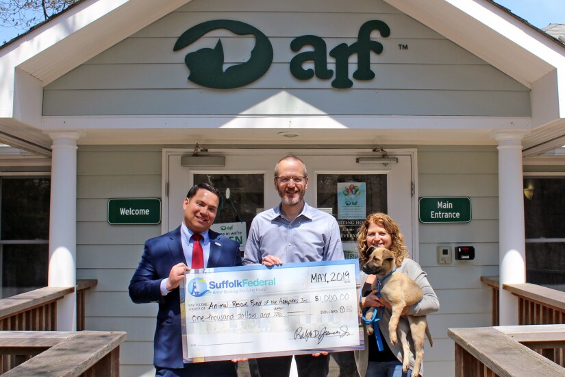 Suffolk CUJ 52919.jpg