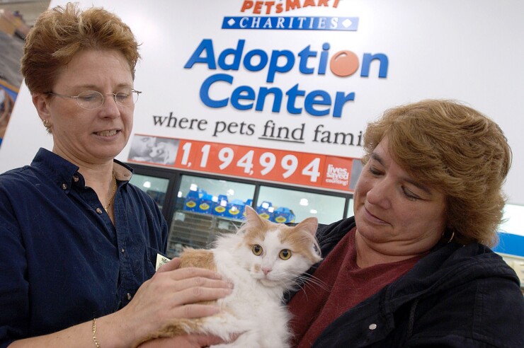 pet-cat-adoption-event
