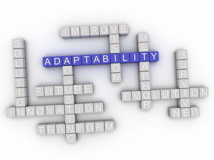 6. adaptability.jpg