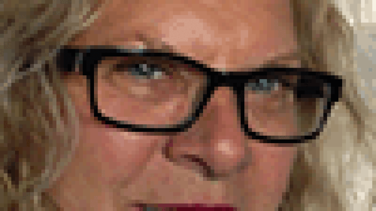 seib100.gif