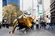 ws-bull.jpg
