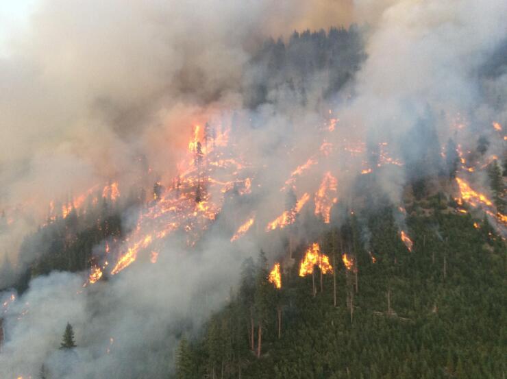 The Cougar Creek Fire in Washington has burned almost 42,000 acres.