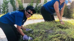 53. Helm Bank USA.jpg