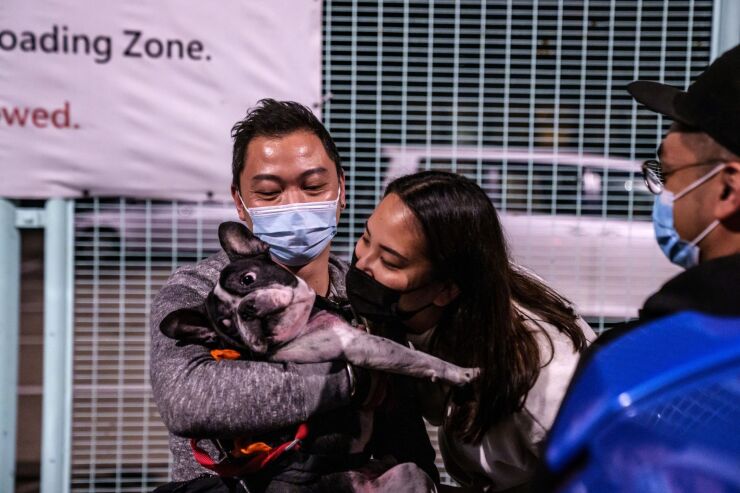 Pet owners hold a French Bulldog before boarding a bus transporting passengers to the Hong Kong International Airport for a chartered flight in Hong Kong, China, on Thursday, Jan. 27, 2022. After more than two years of Covid restrictions that have no end in sight alongside a deepening political crackdown, the ranks of people leaving the Asian financial hub for good are steadily increasing--but many are finding that getting out is no easy feat. Photographer: Lam Yik/Bloomberg