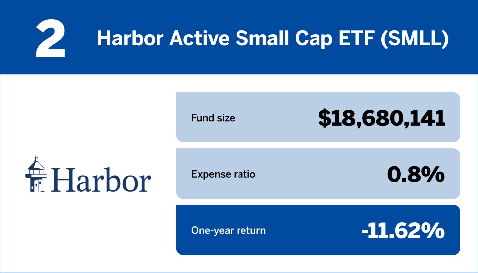 Financial Planning_10 worst small-cap ETFs of the past year2.jpg