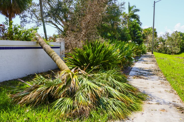 Hurricane Irma damage