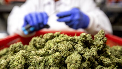 Cannabis Banking Bill May Get Another Chance at a Vote With Defense Measure