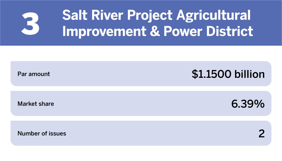 Electric power The 10 largest issuers of the year_Salt River Project Agricultural Improvement & Power D_3.jpg
