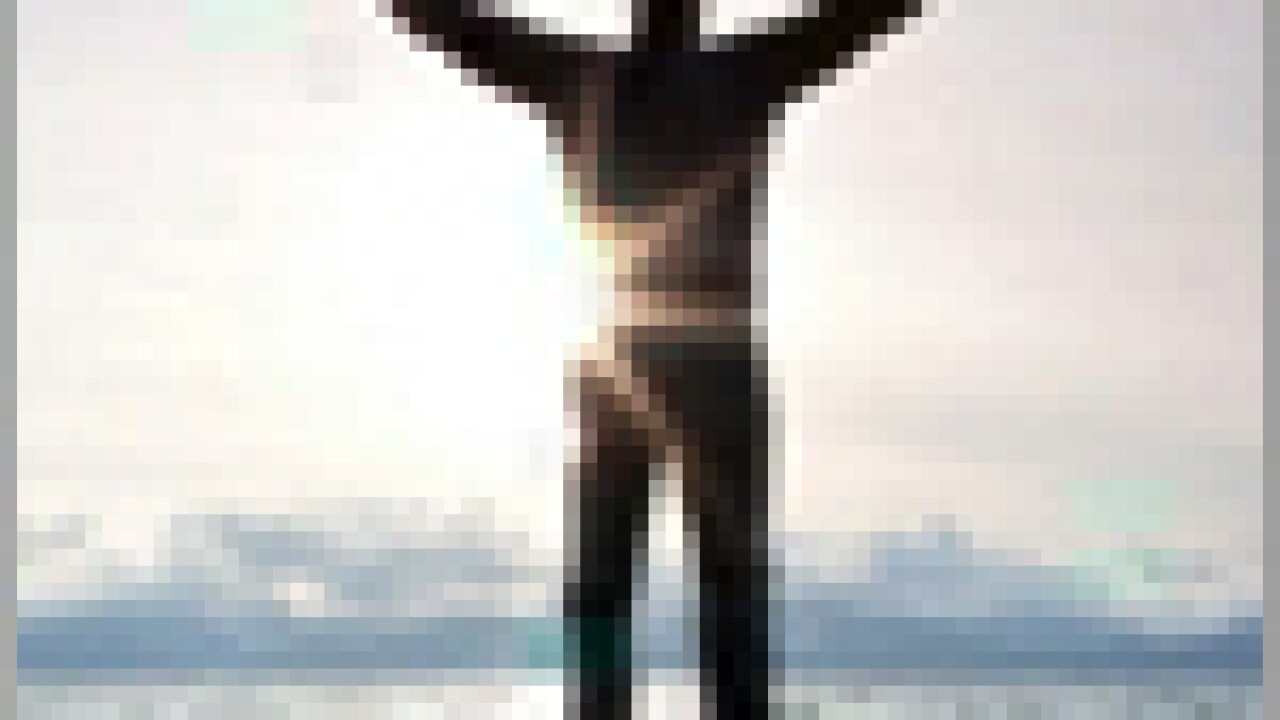 eaf-reflections-thumb.jpg