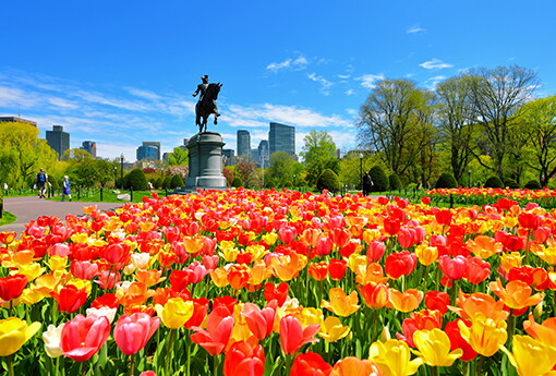 Boston.jpg