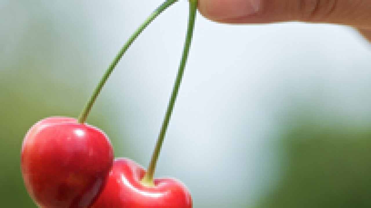 cherrypicking-ts-card.jpg