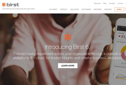 Birst.jpg