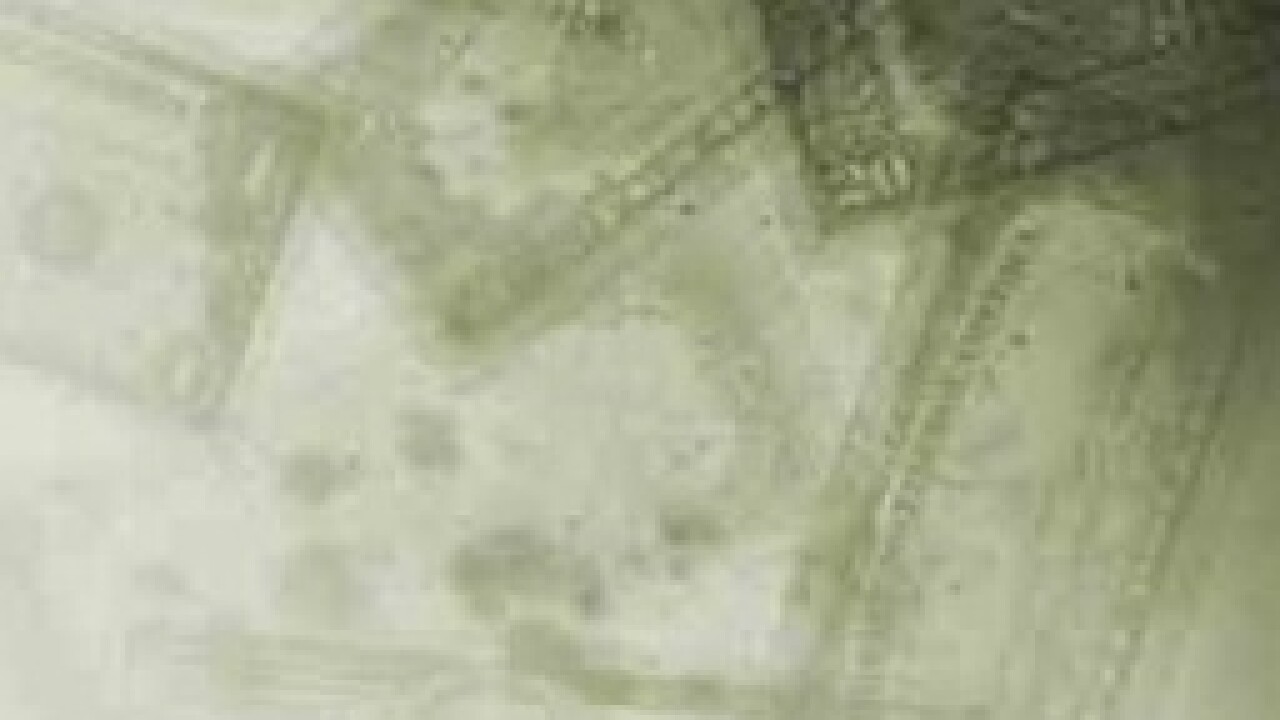 p16otfp73pq6817uece41ngctfc3.jpg