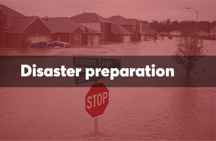 Irmaiscoming.jpg