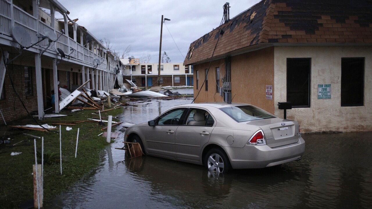 hurricane michael IAG