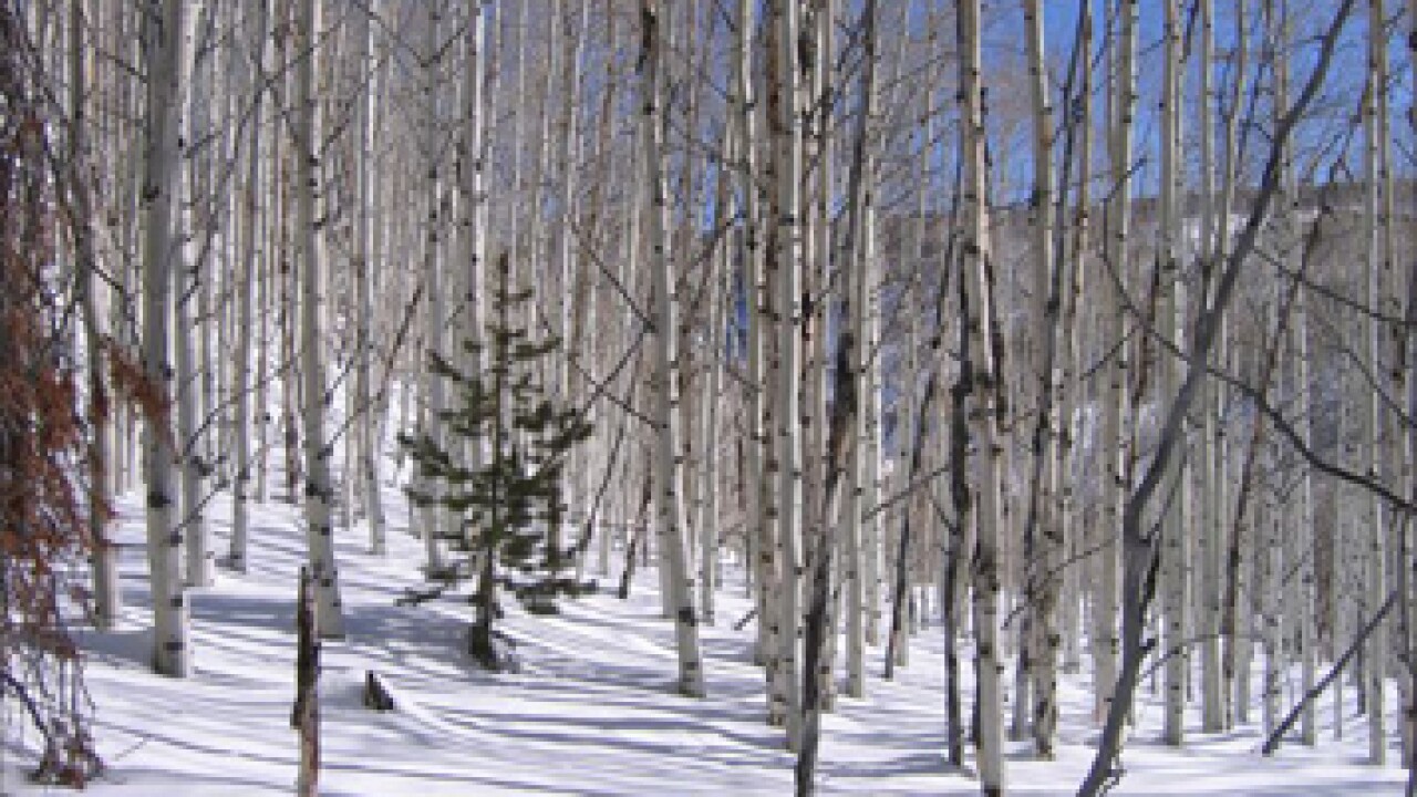 utah-snyderville-basin-357.jpg