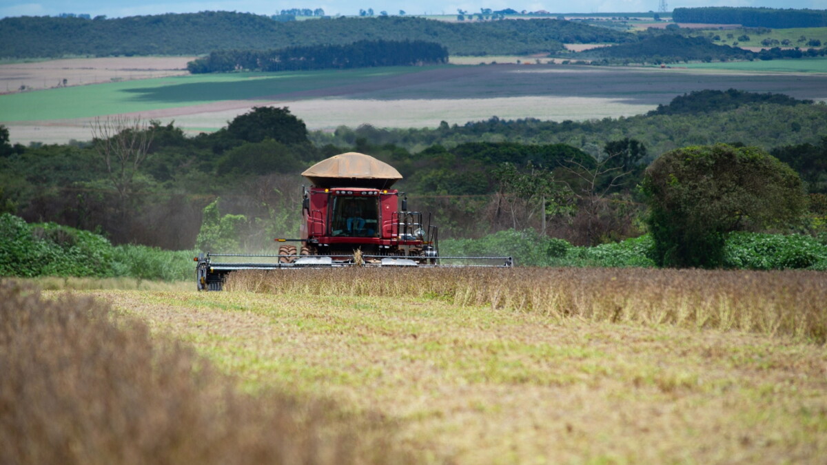 Visa working with Brazil's farmers to cultivate uses for CBDC - Vimarsana News