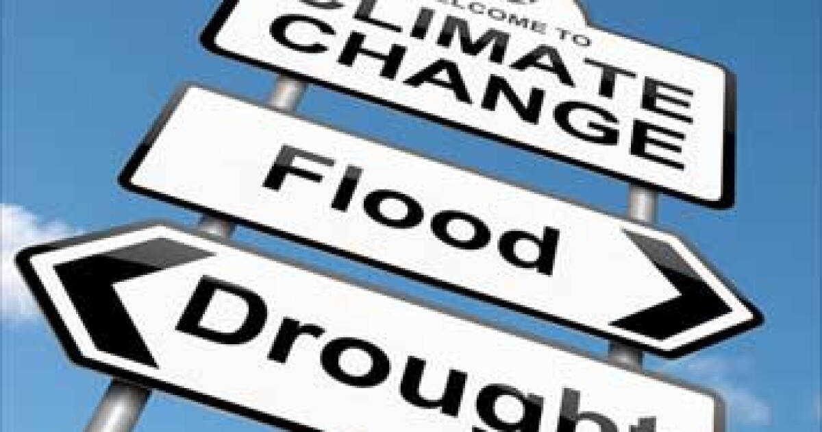 How tax and accounting pros can navigate climate disclosures How tax and accounting pros can navigate climate disclosures