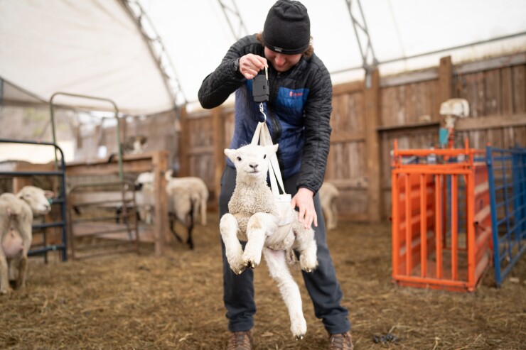 sterling-college-bloomberg