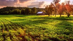 Beautiful evening scene in rural Kentucky