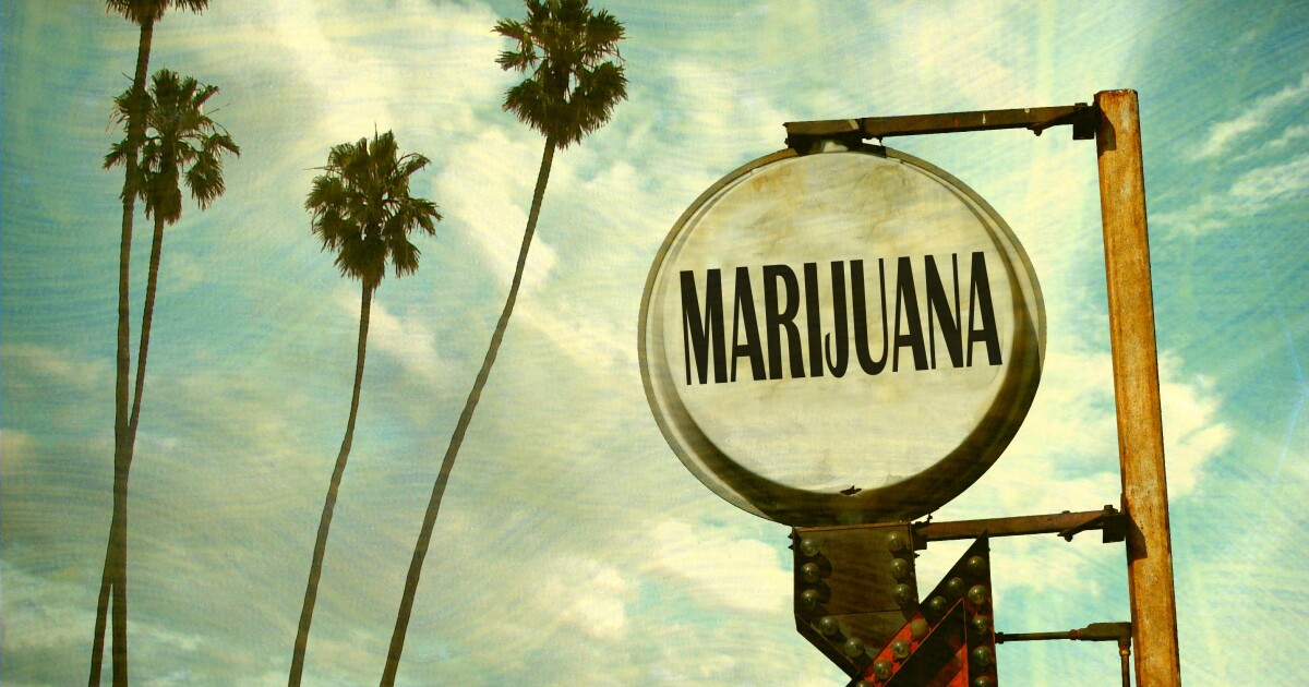 Cannabis businesses could see major tax relief under new Trump order Cannabis businesses could see major tax relief under new Trump order