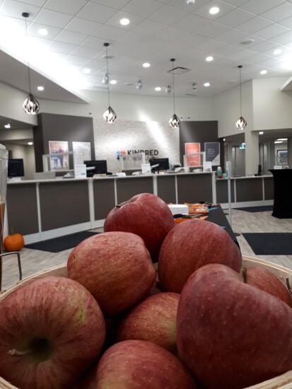 kindred 2 - Day in the Life 2017 - CUJ 120617.jpg