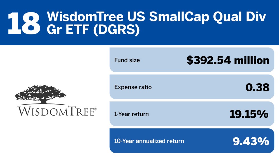 Financial Planning_The top 20 small-cap funds of the decade_18.jpg