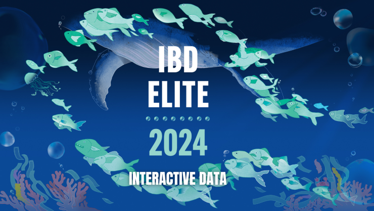 Smaller green fish swim underwater next to a giant whale around a title reading, "IBD Elite 2024 Interactive Data"