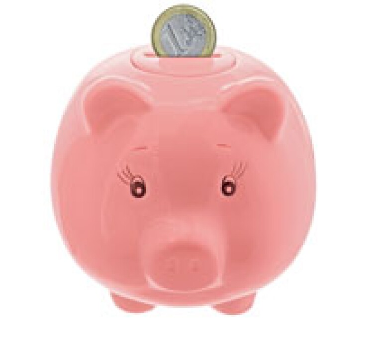 piggybank050912.jpg