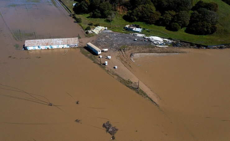 Flooded strawberry fields in Pajaro, California, in March 2023.