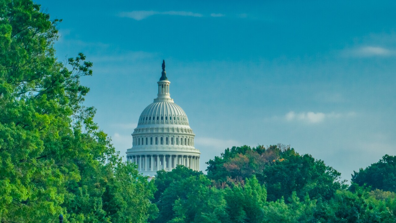 The U.S. Capitol through trees