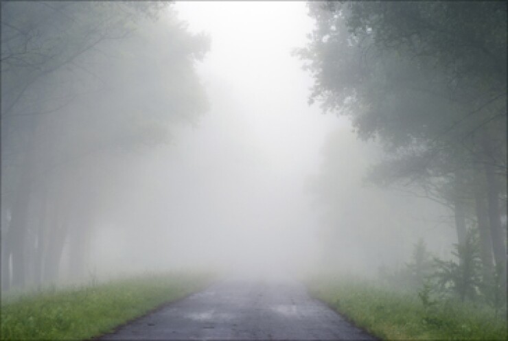 foggy-road-foto-365.jpg