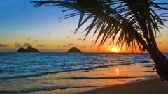 hawaii-fotolia.jpg