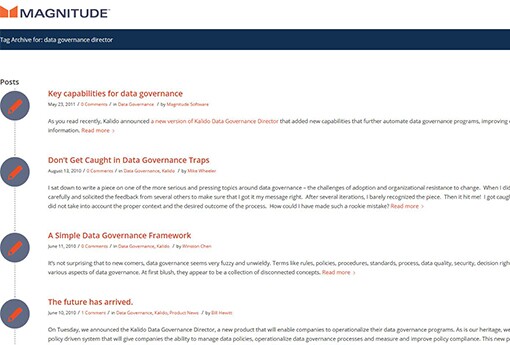 Magnitude-Data-Governance-Director.jpg