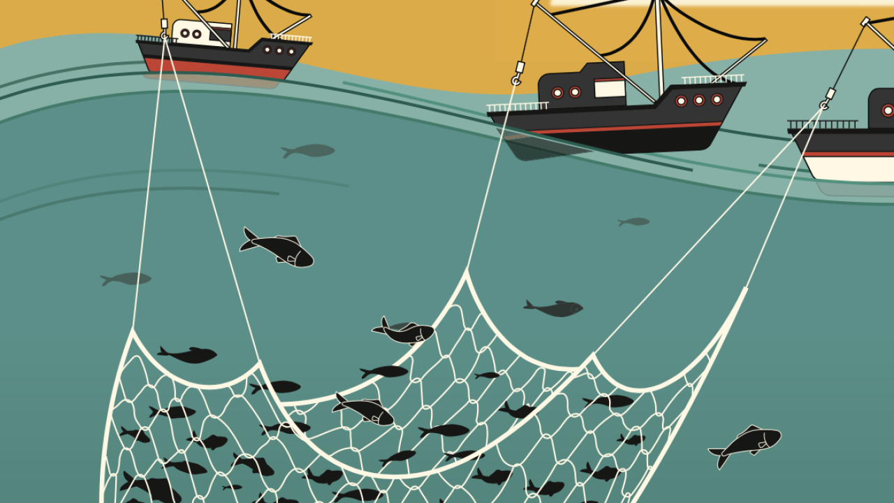 As private equity funds grab advisory firms and finance their acquisitions, the independent financial advice industry is becoming more concentrated.