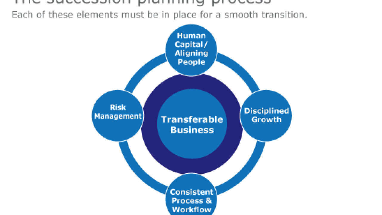 Succession Planning Flowchart-Cruz