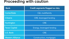 Table listing credit segments to concern to a half dozen banks