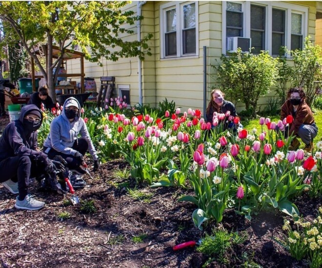 Small issuer - Buffalo