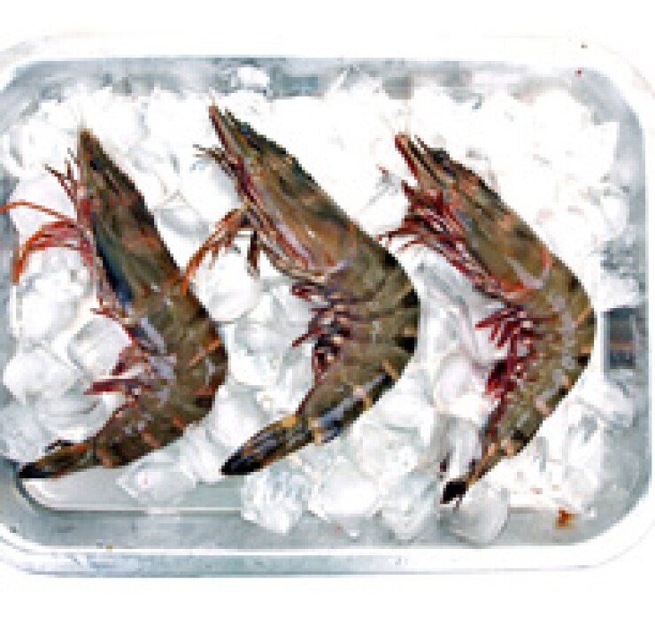 fotolia-shrimpcrop.jpg