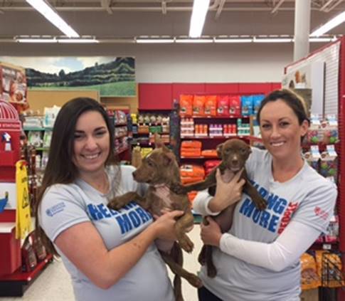 Greater Nevada 040717.jpg