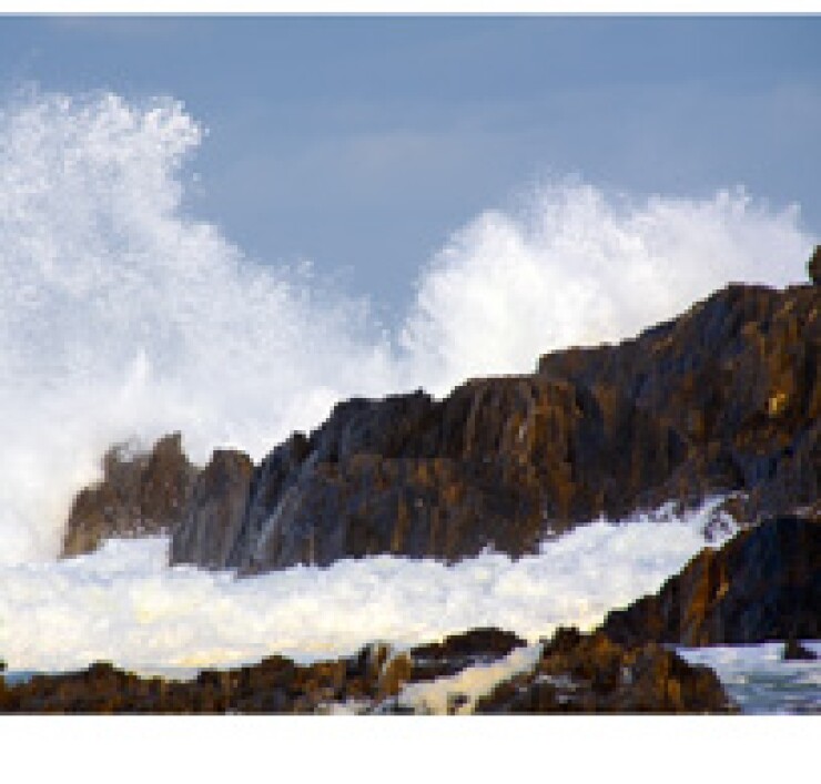 fotolia-stormcrop.jpg