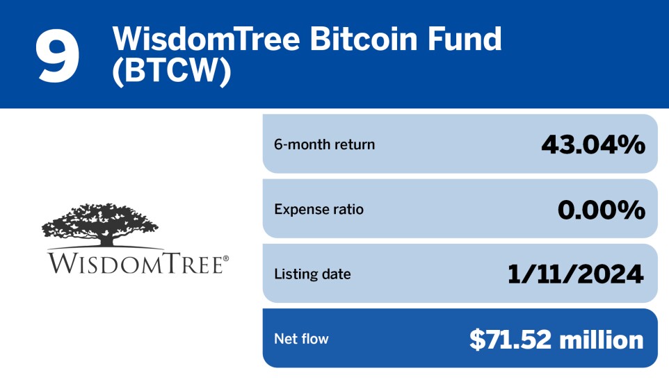 FP_11 spot bitcoin ETFs with the largest net flows_9.jpg