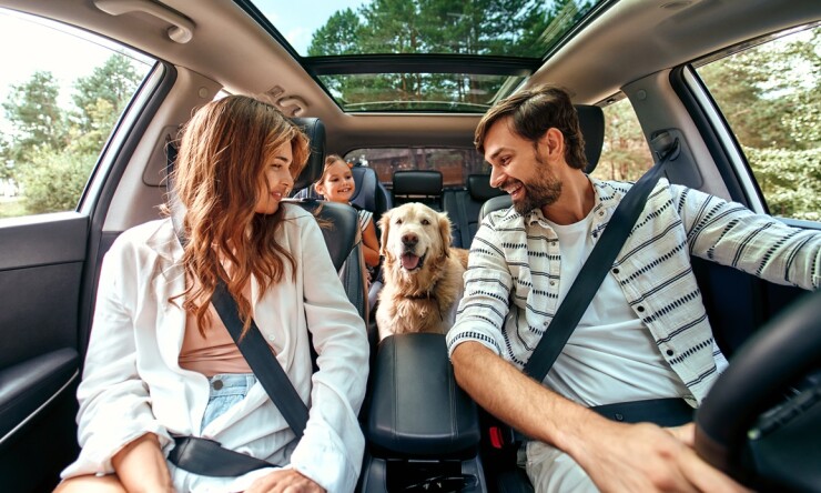 Millennial family in a car with their dog.