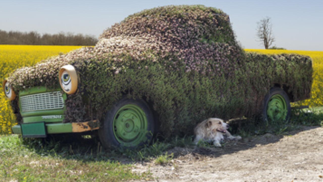 grass-covered-car-fotolia.jpg