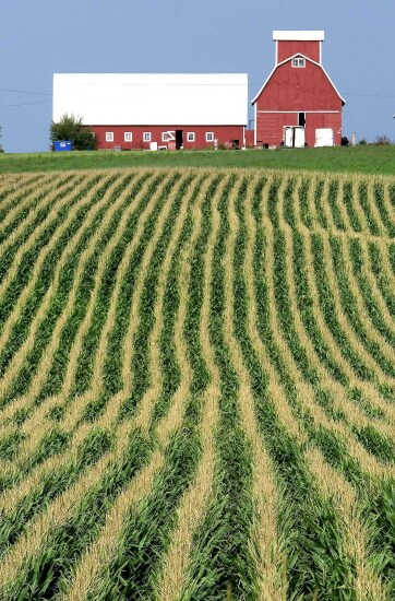 farm.jpg