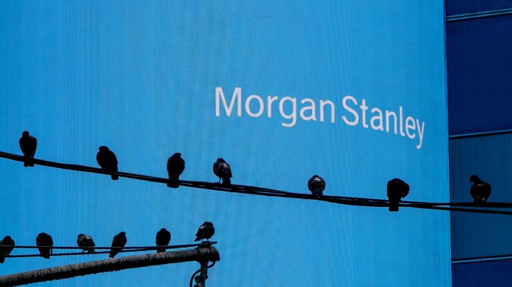 Digital billboard reading Morgan Stanley with pigeons resting on telephone wires in front of the electronic display.