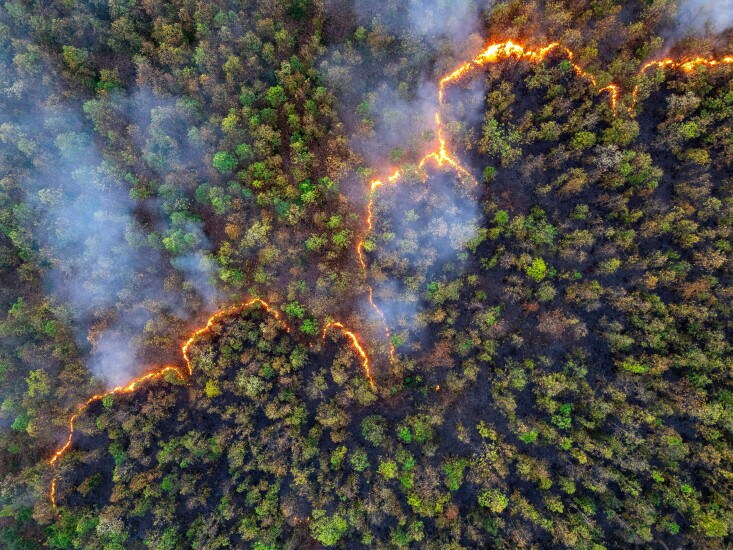 Aerial view of wildfire spreading through dense forest.