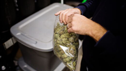 Cannabis420BL