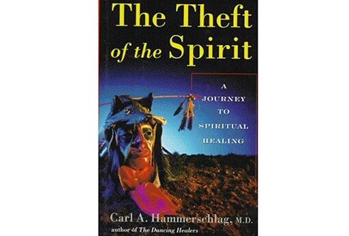 The-Theft-of-the-Spirit by-Carl-Hammerschlag.jpg
